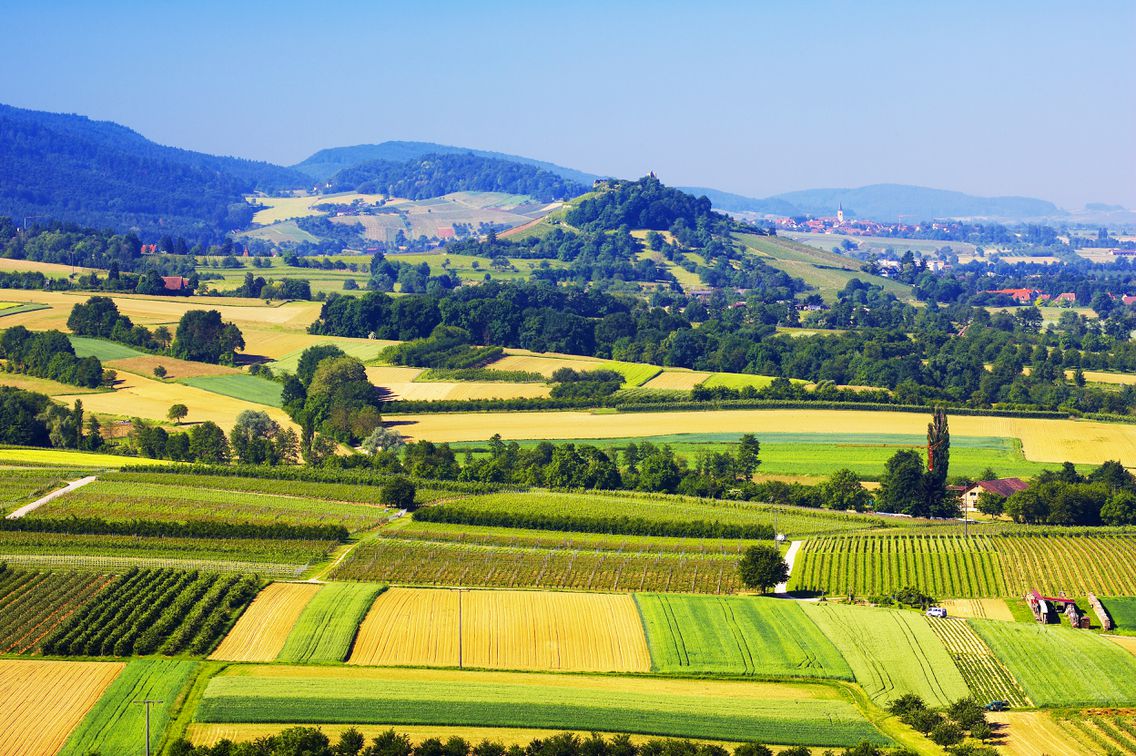Grüne Wiesen und landwirtschaftliche Flächen liegen im Vordergrund während im Hintergrund Berge und Wälder der Region um Freiburg zu sehen sind.